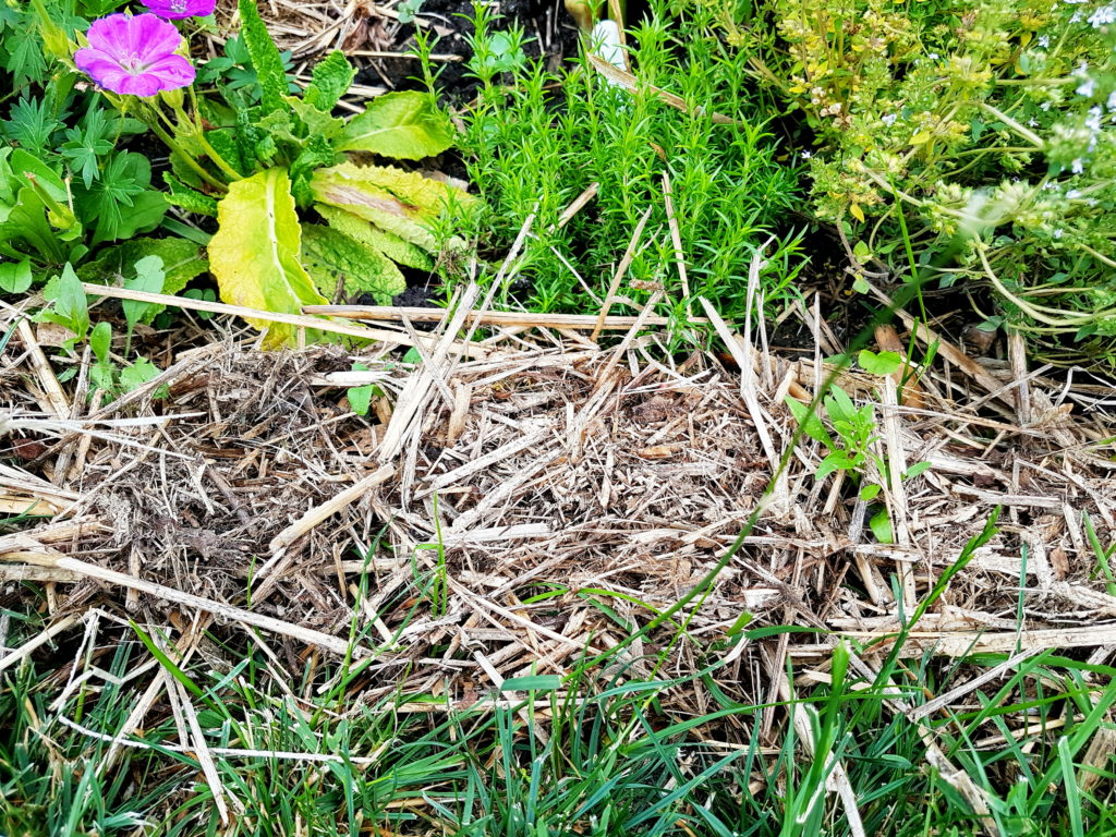 photo of mulch around a garden bed