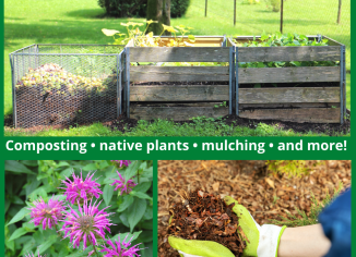 photo of composter, bee balm and mulch