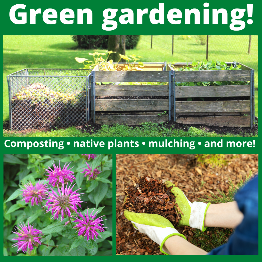 photo of composter, bee balm and mulch