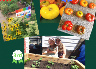 collage of photos showing green gardening techniques