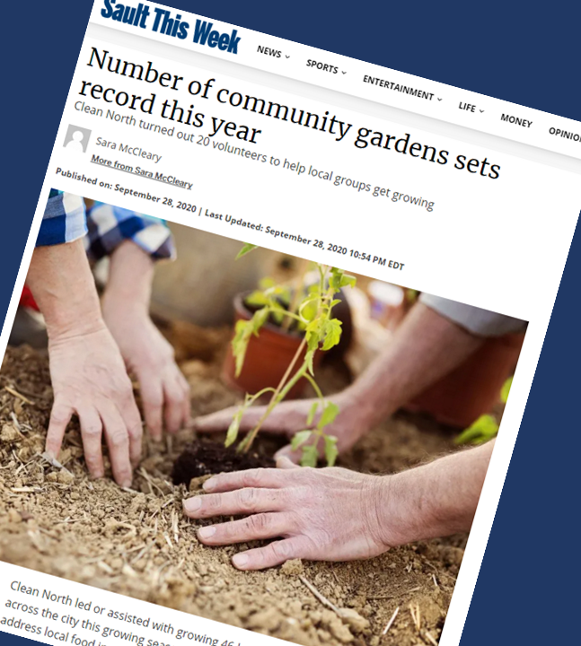 Screen clip of Sault This Week article about community gardens