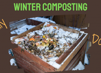 photo of composter in winter