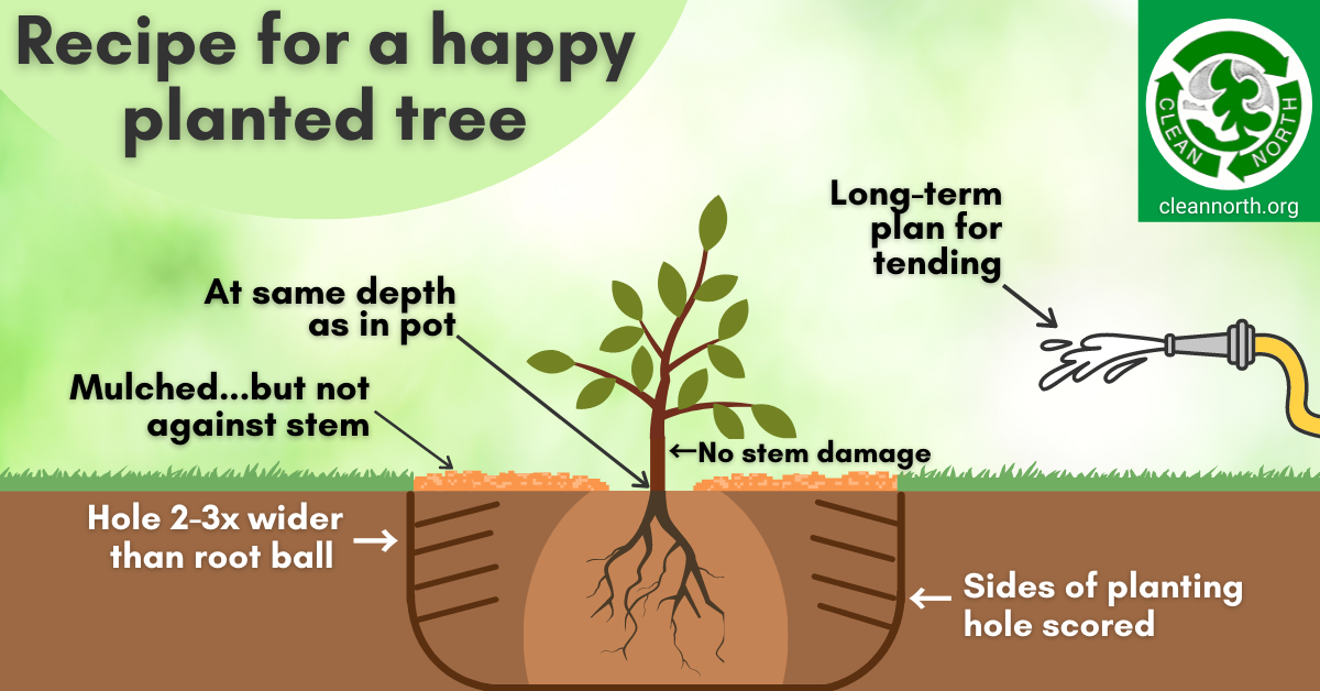 Diagram showing how to plant a happy tree for example by preventing damage to the stem