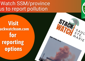 screen clip of front of Stack Watch SSM brochure