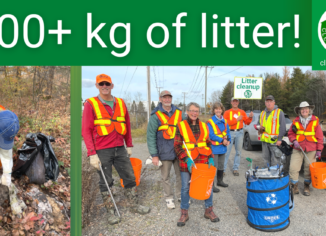 photos of people collecting litter