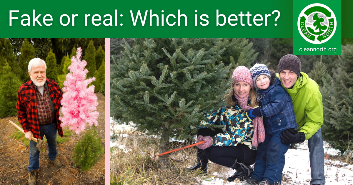 photos of people with fake or real Christmas trees