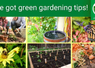 photos showing green gardening practices, flowers, pollinators