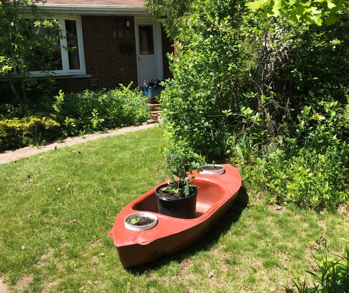photo of a kayak with plants in it