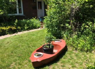 photo of a kayak with plants in it
