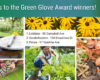 photos of green gardening activities