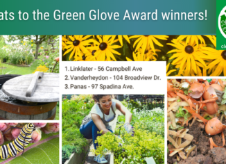 photos of green gardening activities