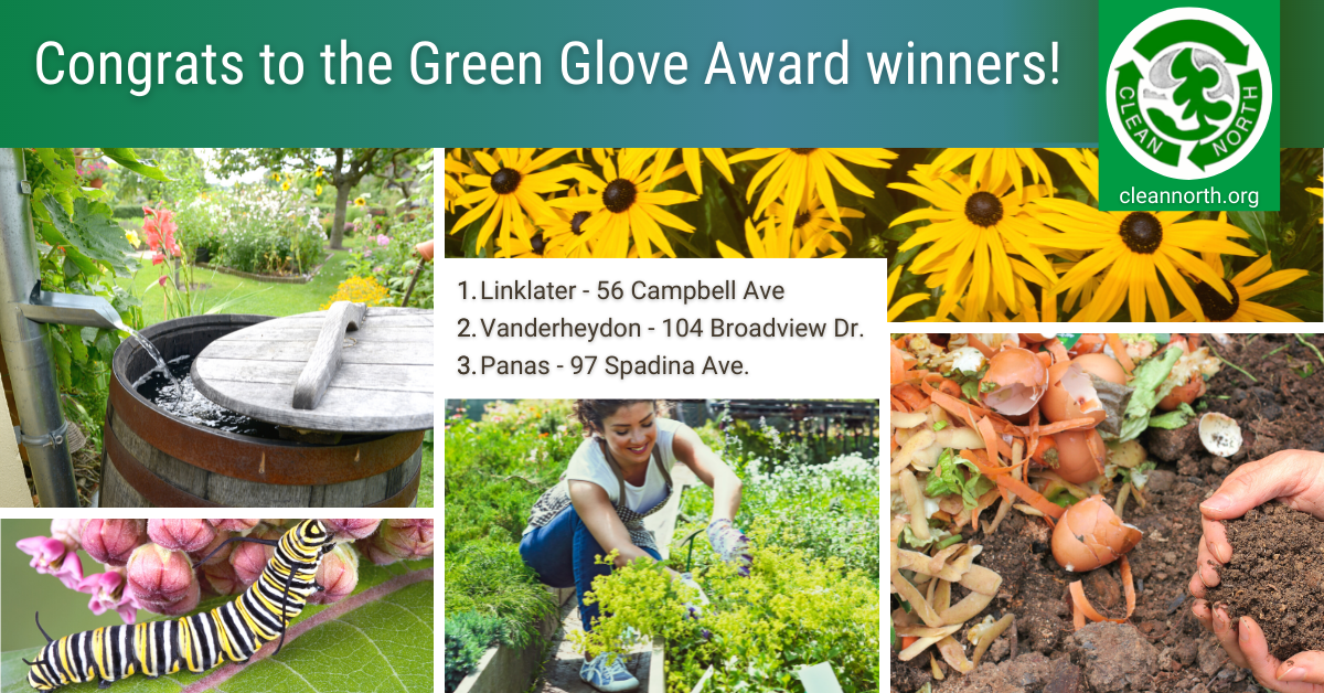 photos of green gardening practices