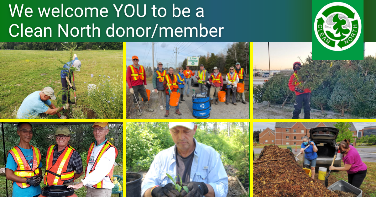 College of photos showing Clean North volunteers at work