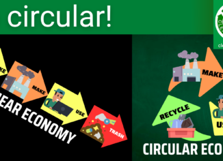 graphics explaining linear and circular economies