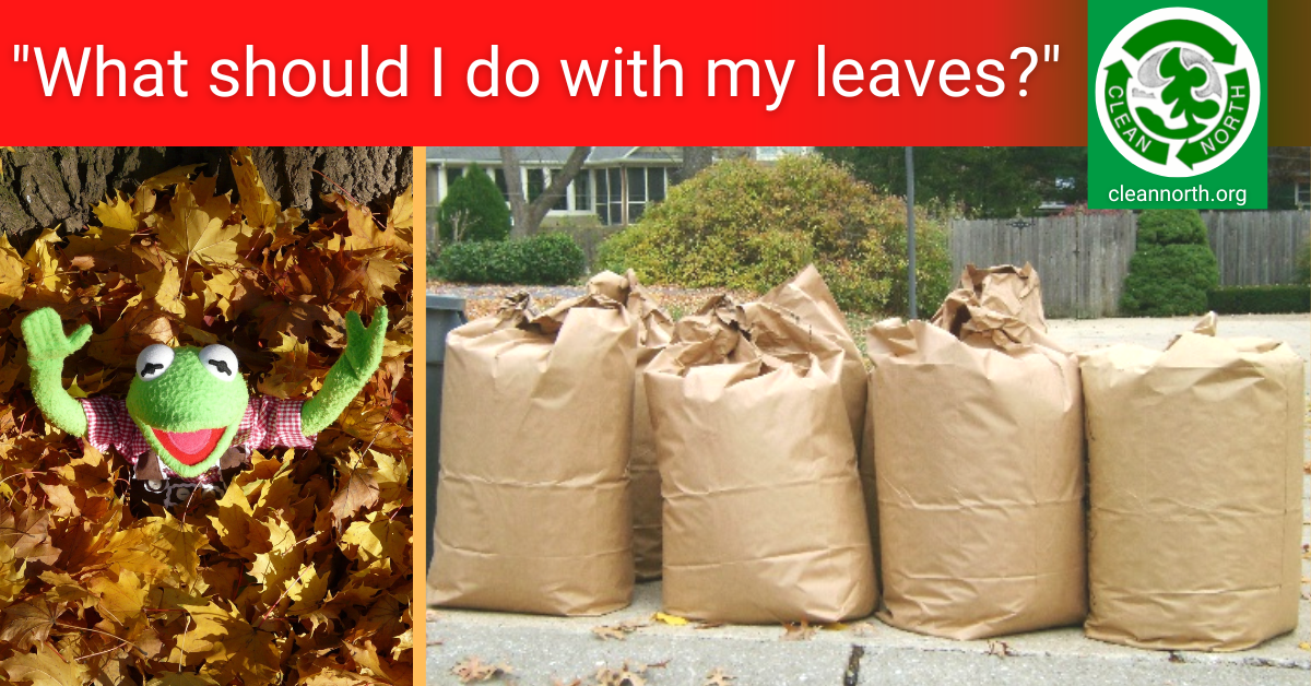photos of Kermit the frog in a pile of leaves and a group of bagged leaves
