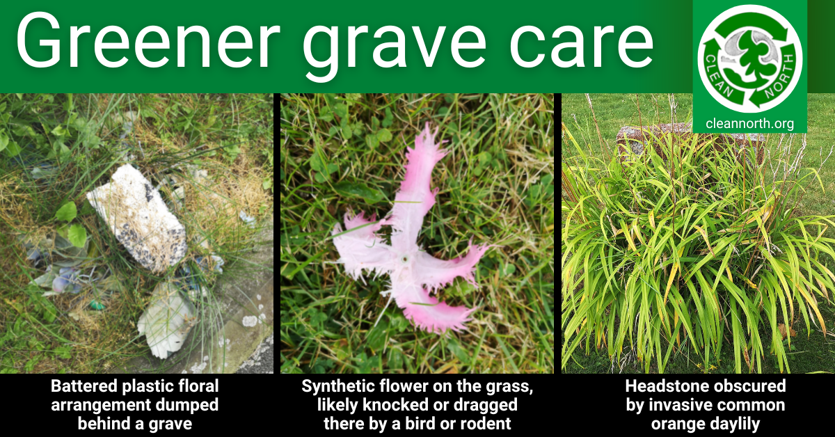 photos of litter and invasive plants in a cemetery
