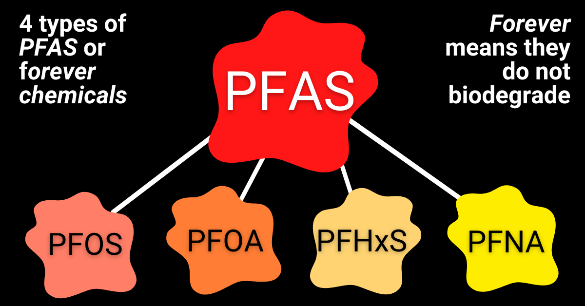 Diagram of 4 types of PFAS chemicals