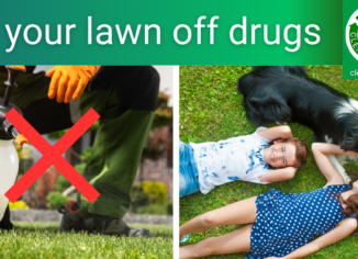 photos of someone spraying chemicals and kids and dog on a lawn