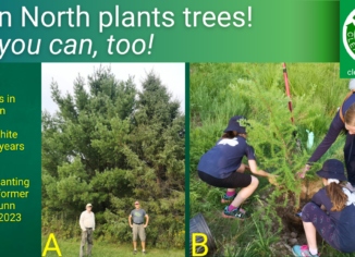 photos of a) volunteers in front of Clean North trees planted years ago and B) Embers planting trees