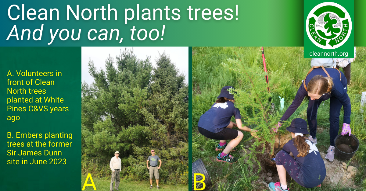 photo of Clean North volunteers standing in front of trees planted years ago plus a photo of Embers planting tree