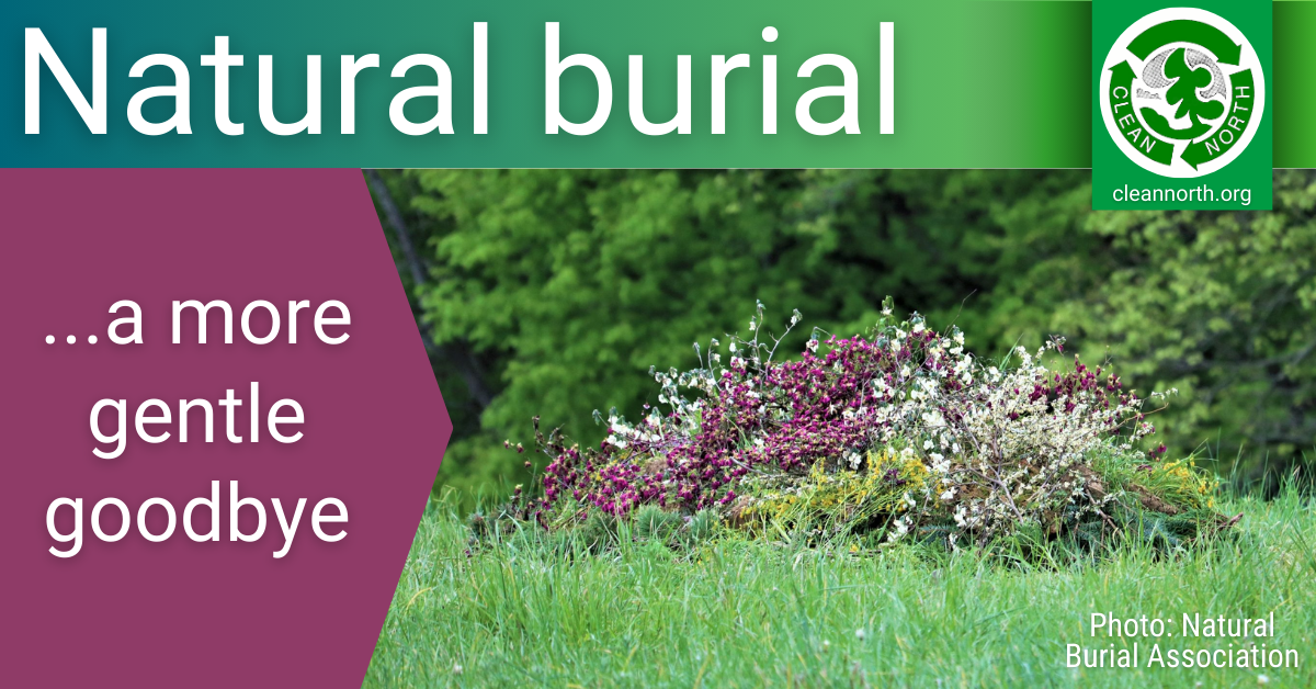 photo of a natural burial gravesite