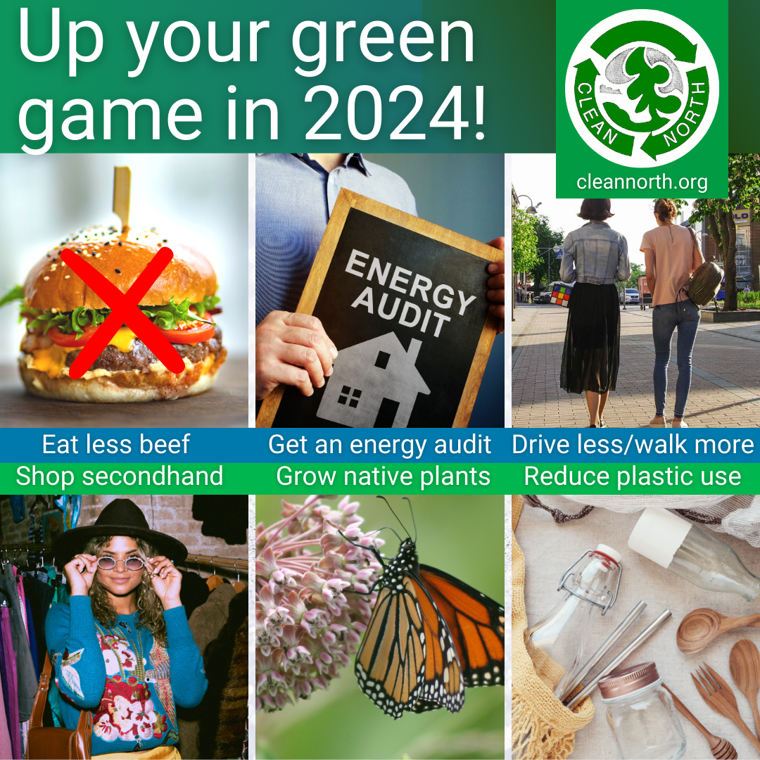 collage of photos of green activities