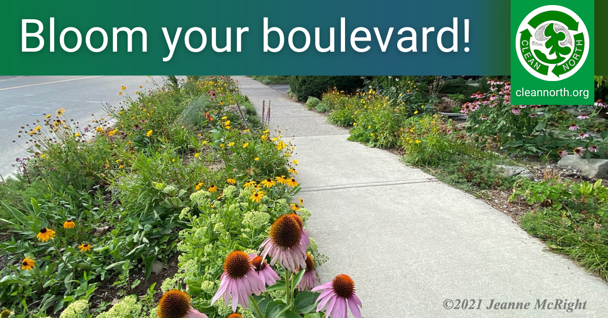 photo of a boulevard garden