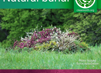 photo of a natural burial site