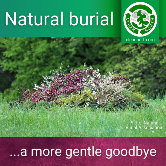 Photo of a natural burial site