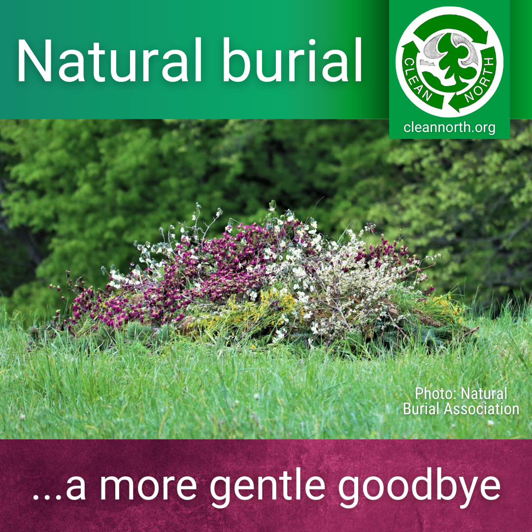 photo of a natural burial site