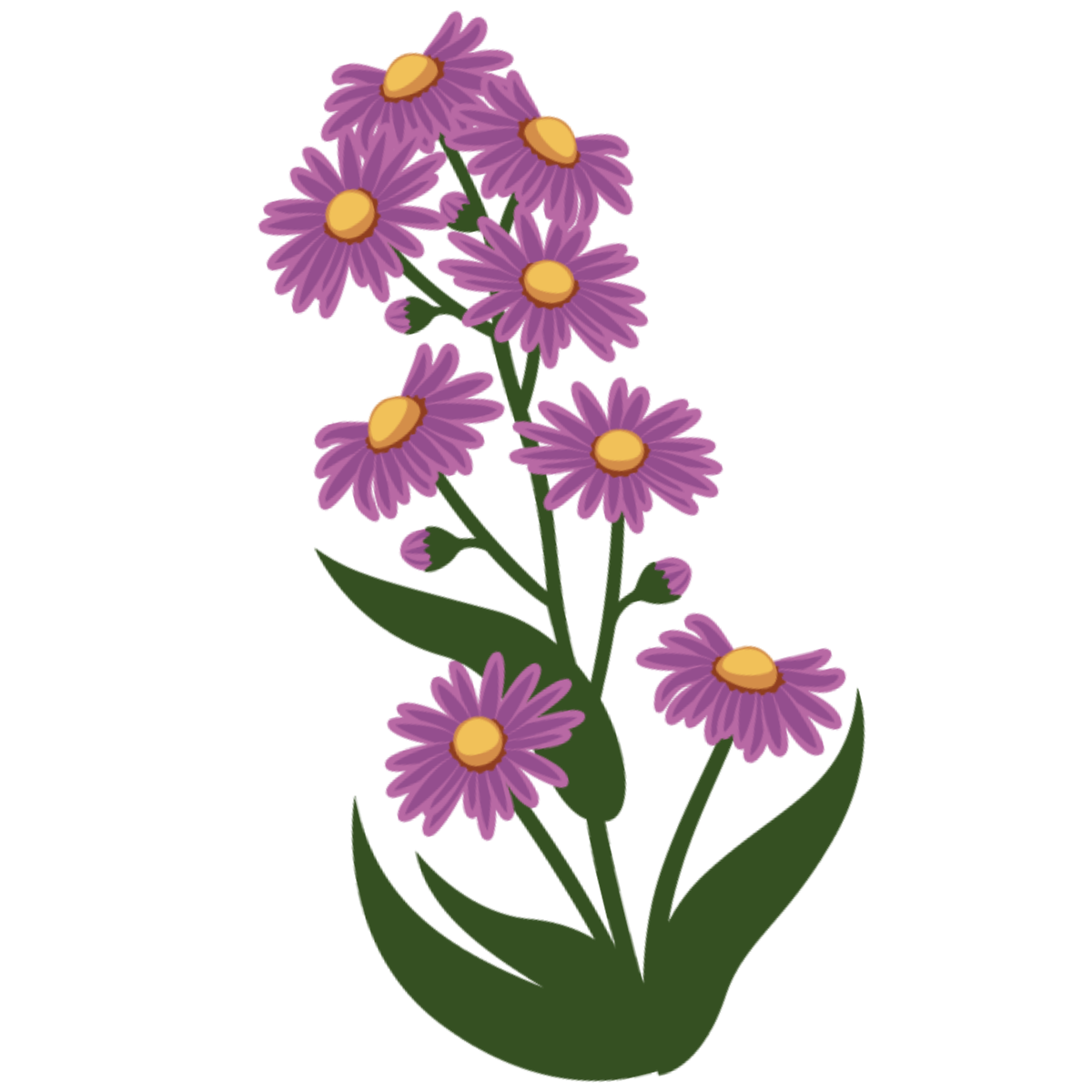Untitled design - 2026-07-19T184546.152